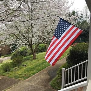 Meet your Posher, Gail